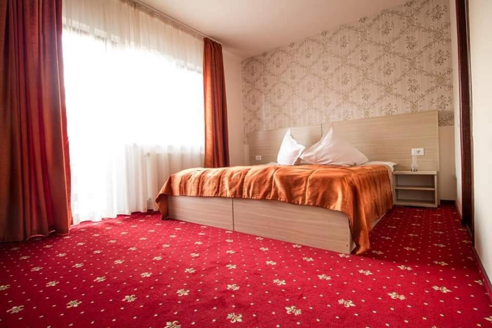 Guest house Pensiunea Perla Neamtului Minastirea Neamt